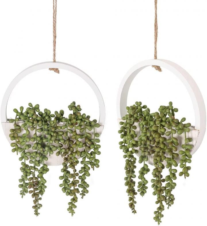 Hanging-Decor-Floweroyal-Fake-String-Pearls-Hanging-Planters.jpg