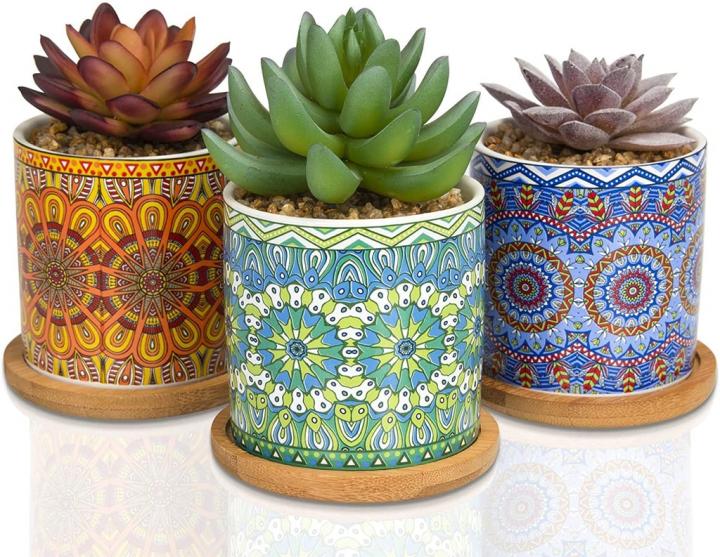 Something-Colorful-Casaluxe-Two-Toned-Artificial-Succulents-in-Mandala-Pattern-Ceramic-Pots.jpg