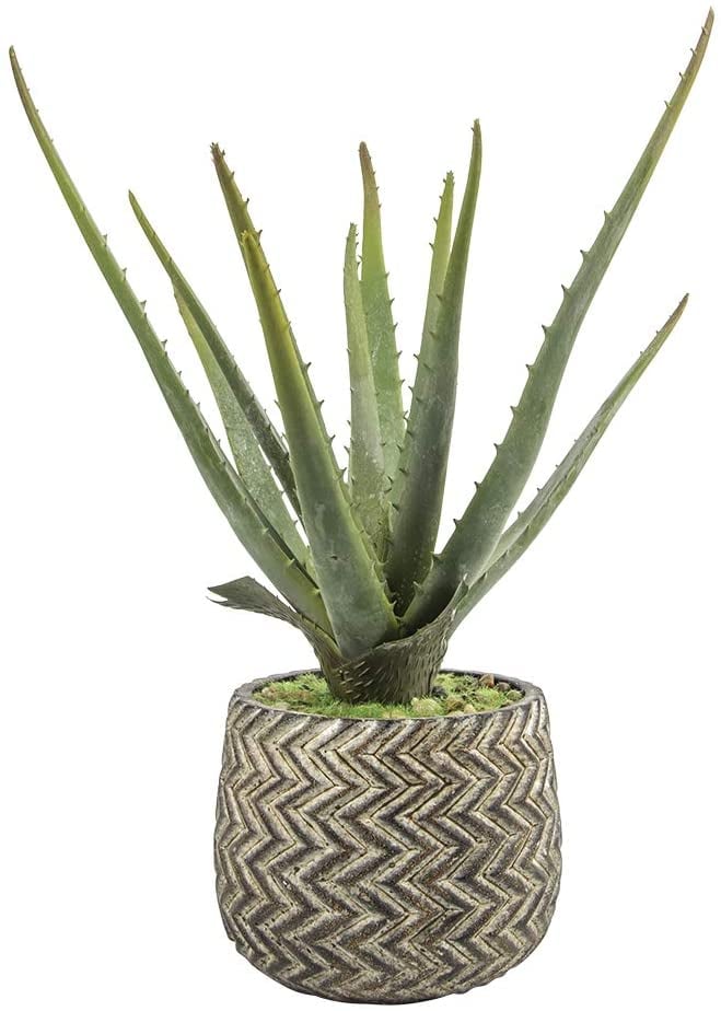 Faux-Aloe-Ferrisland-Artificial-Faux-Aloe-Potted-Plant-with-Antique-Cement-Pot.jpg
