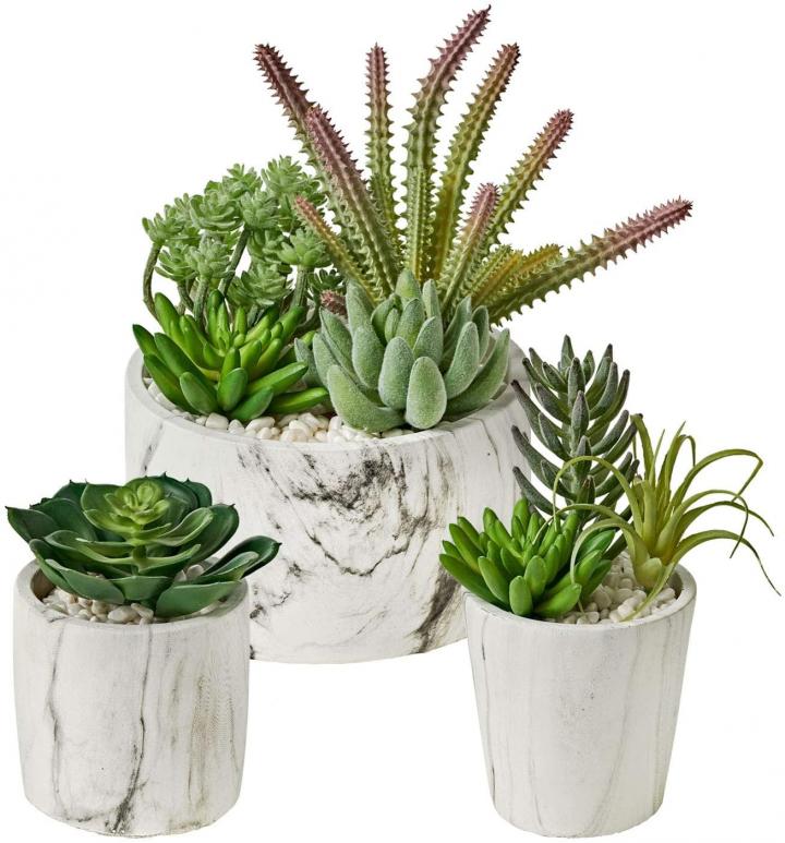 Marbled-Pot-MOTINI-Artificial-Succulent-Plants-Set-3.jpg