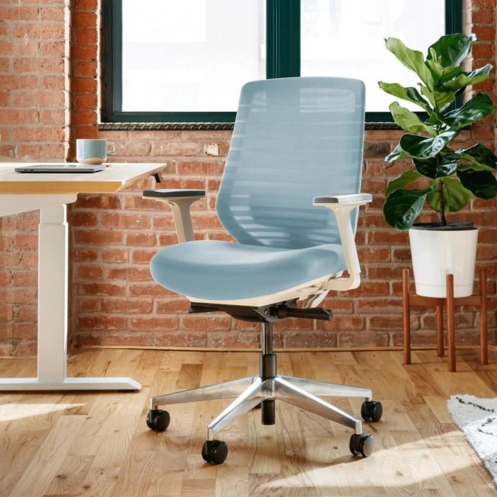 Top-Rated-Desk-Chair-Branch-Ergonomic-Chair.webp