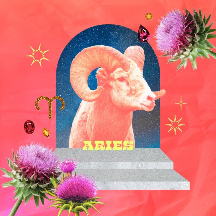 tmp_rjeFwr_77613f06440767e9_PS21_Astrology_Yearly_Aries_1456x1456.jpg