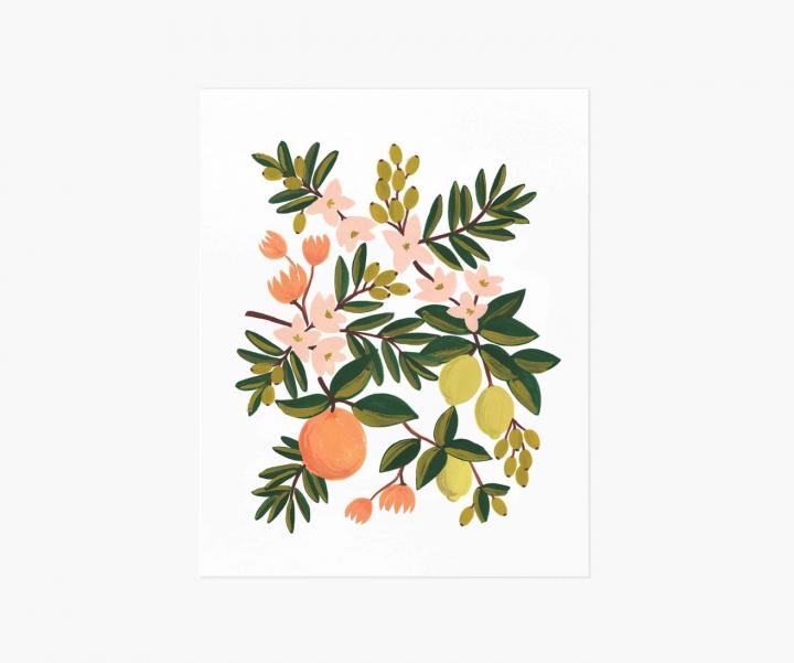 Bright-Fruity-Print-Rifle-Paper-Co-Citrus-Floral-Art-Print.jpg