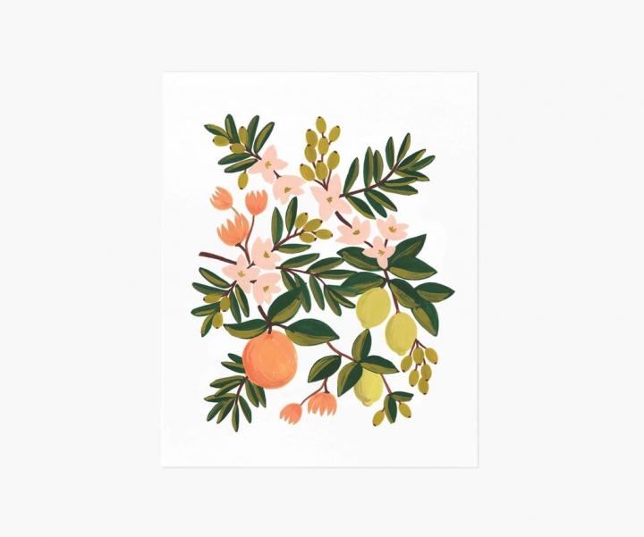 Bright-Fruity-Print-Rifle-Paper-Co-Citrus-Floral-Art-Print.jpg