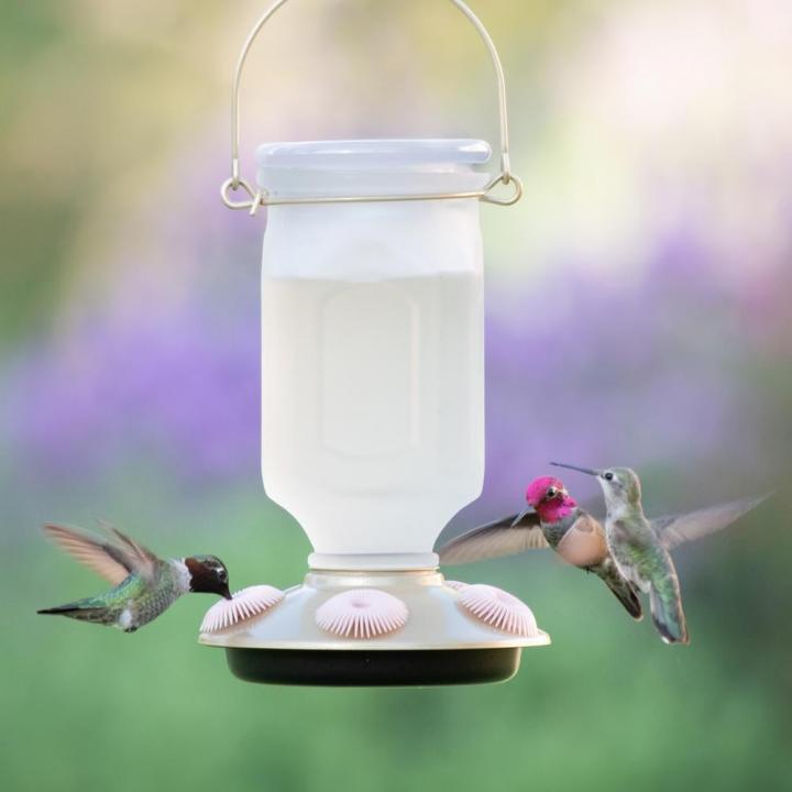 Wide-Mouth-Feeder-Perky-Pet-Sun-Kissed-Top-Fill-Decorative-Glass-Hummingbird-Feeder.jpg