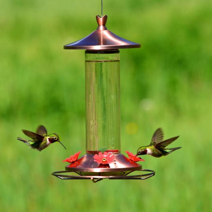 Elegant-Feeder-Perky-Pet-Elegant-Glass-Copper-Hummingbird-Feeder.jpg