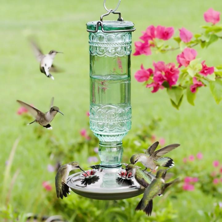 Antique-Feeder-Perky-Pet-Green-Antique-Bottle-Decorative-Glass-Hummingbird-Feeder.jpg