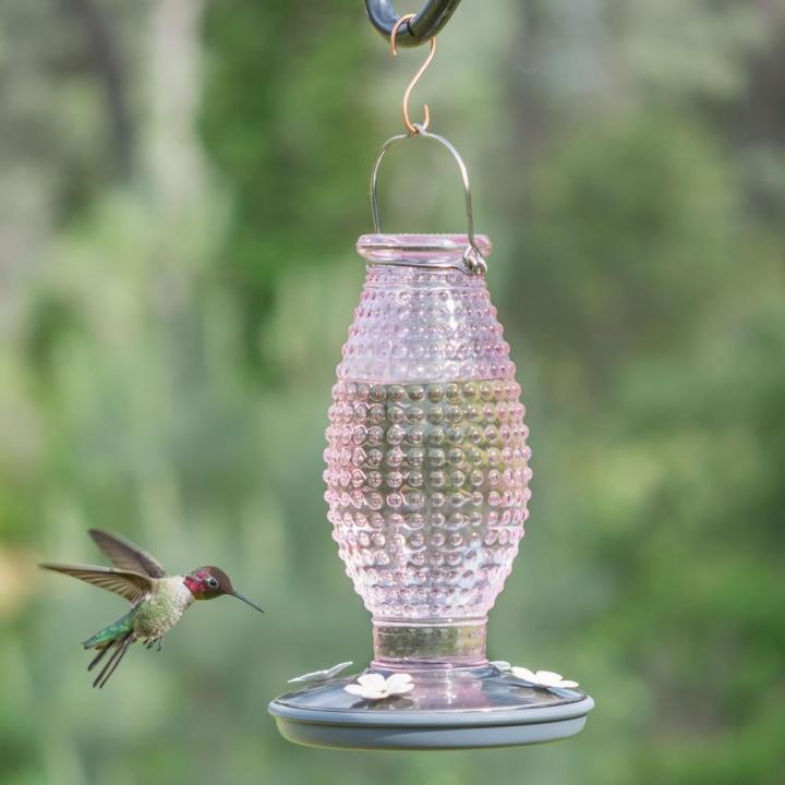 Pink-Feeder-Perky-Pet-Cranberry-Hobnail-Decorative-Glass-Hummingbird-Feeder.jpg