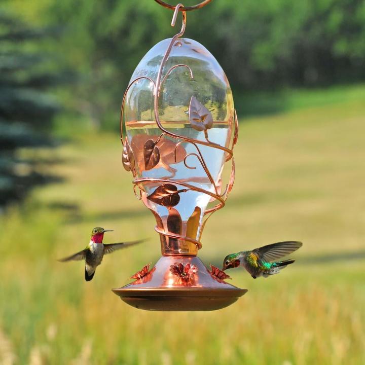 Glass-Copper-Feeder-Perky-Pet-Looking-Glass-Hummingbird-Feeder.jpg