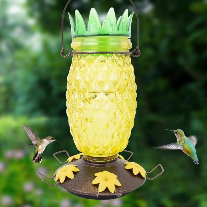 Pineapple-Feeder-Perky-Pet-Pineapple-Top-Fill-Decorative-Glass-Hummingbird-Feeder.jpg