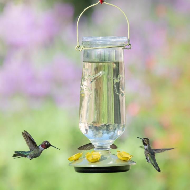 Glass-Feeder-Perky-Pet-Desert-Bloom-Top-Fill-Decorative-Glass-Hummingbird-Feeder.jpg