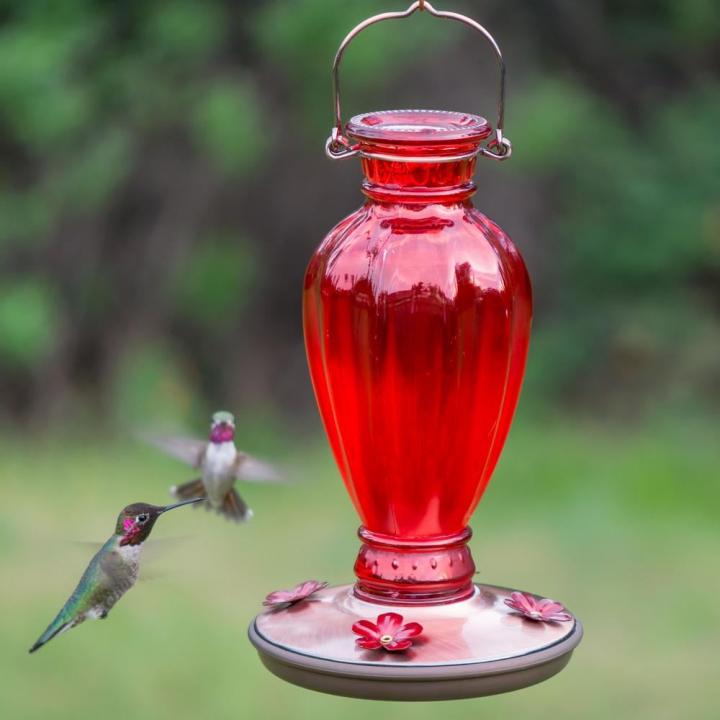 Red-Feeder-Perky-Pet-Red-Daisy-Vase-Decorative-Glass-Hummingbird-Feeder.jpg