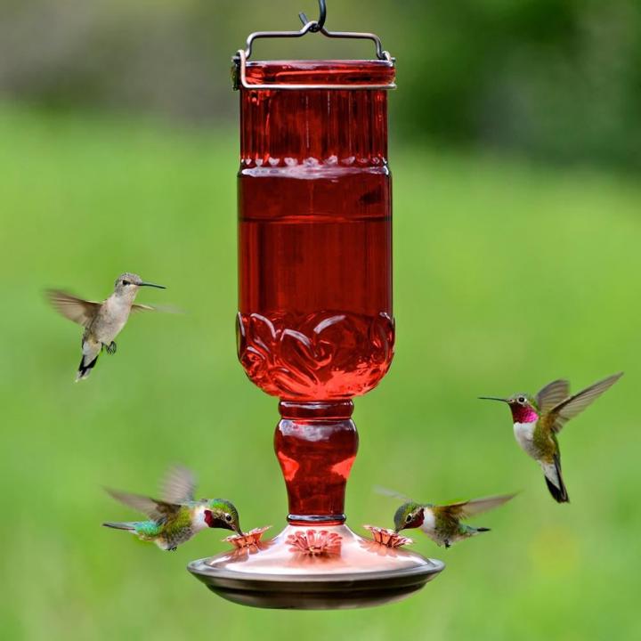 Antique-Feeder-Perky-Pet-Red-Antique-Bottle-Decorative-Glass-Hummingbird-Feeder.jpg