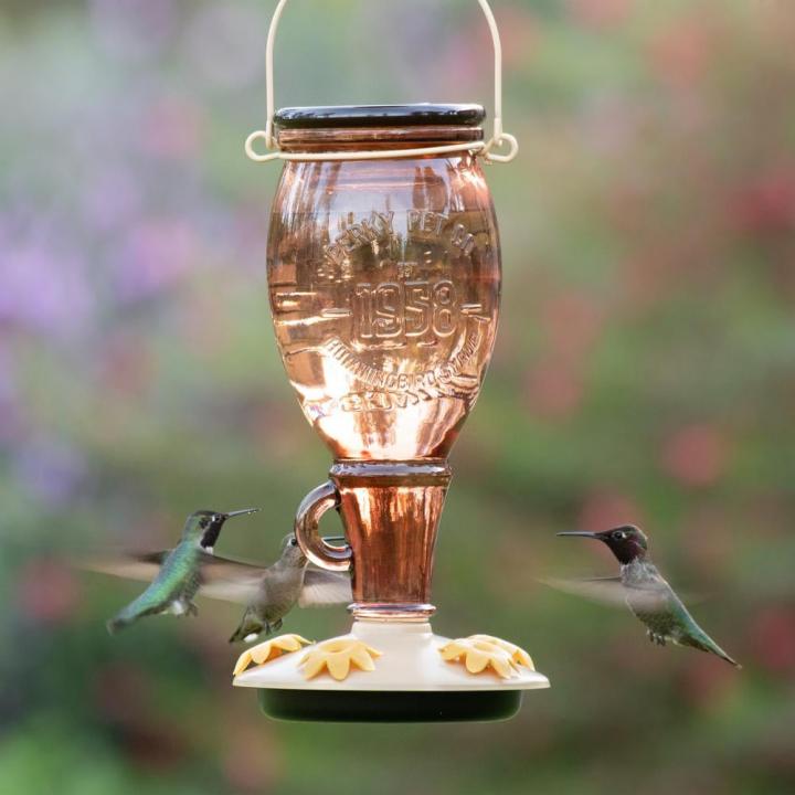 Top-Fill-Feeder-Perky-Pet-Sugar-Maple-Decorative-Glass-Hummingbird-Feeder.jpg