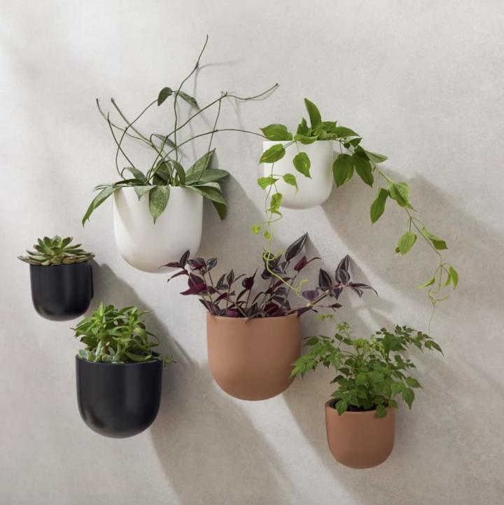For-Wall-West-Elm-Ceramic-IndoorOutdoor-Wallscape-Planters.png
