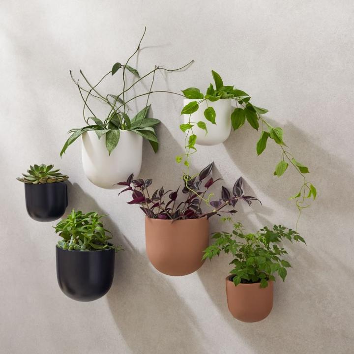West-Elm-Ceramic-IndoorOutdoor-Wallscape-Planters.jpg