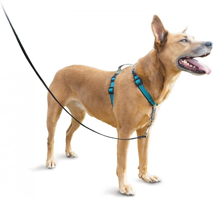 Dog-Harness-PetSafe-3-in-1-Dog-Harness.jpg