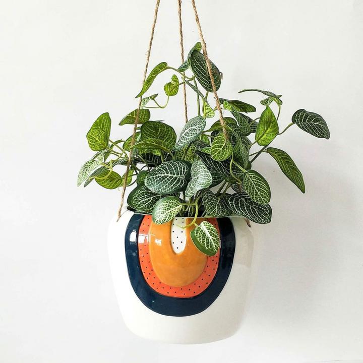 Something-Artsy-Urban-Products-Rainbow-Hanging-Indoor-Planter-Pot.jpg