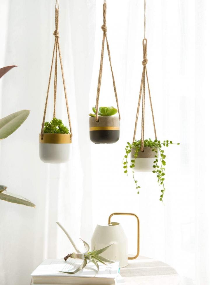 For-Small-Plants-Dahey-Small-Cement-Hanging-Planters.jpg