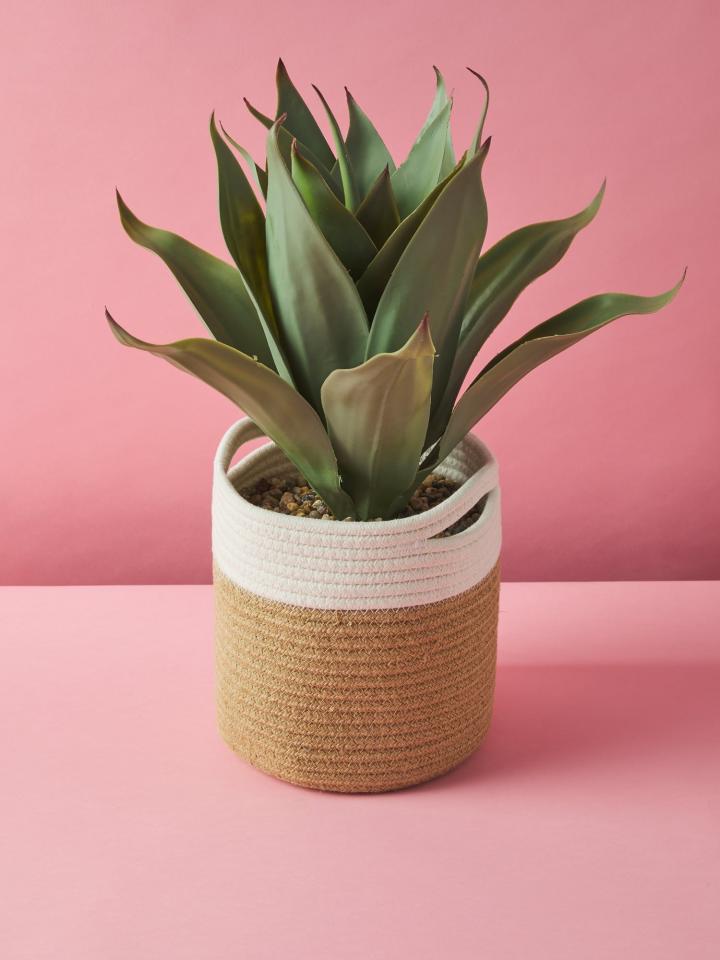 Faux-Plant-Artificial-Agave-Plant-In-Basket.jpg
