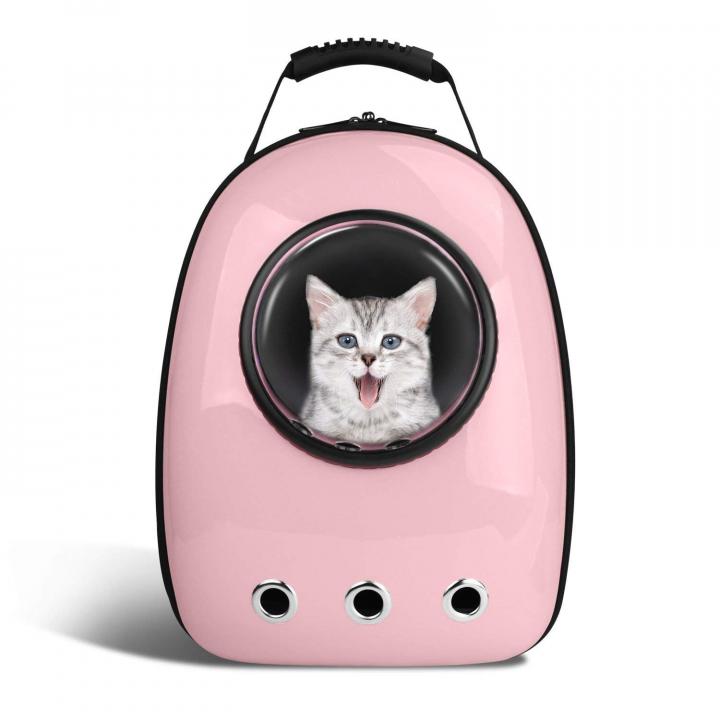 Pet-Parents-Lollimeow-Pet-Portable-Carrier.jpg