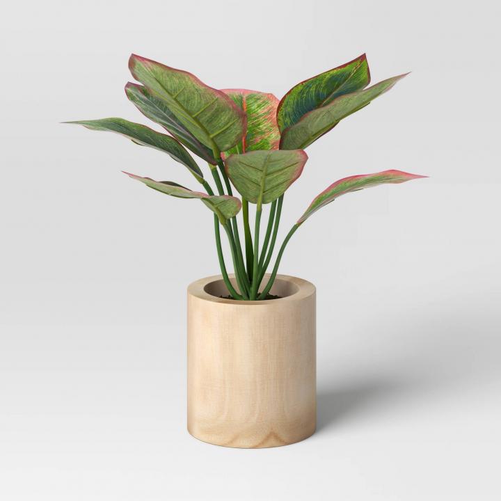 Fresh-Touch-Threshold-Evergreen-Leaf-Wood-Potted-Plant.jpg