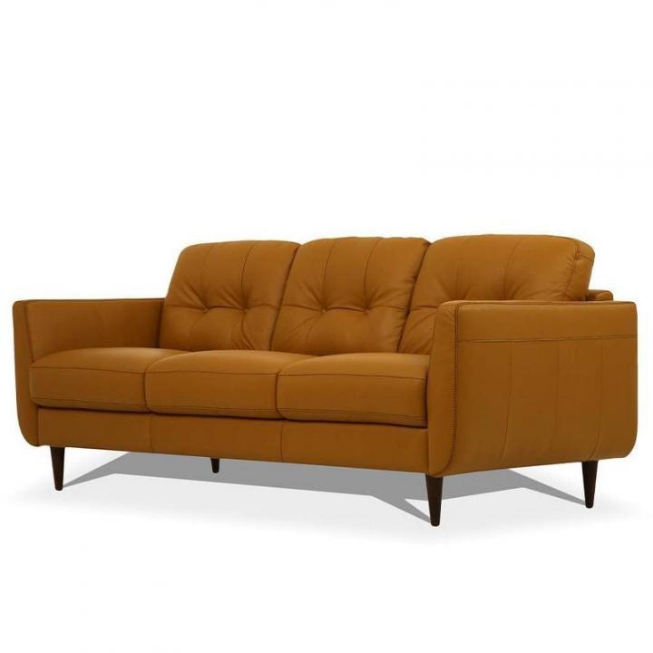 Most-Nostalgic-Acme-Furniture-Radwan-Leather-Sofa.jpg
