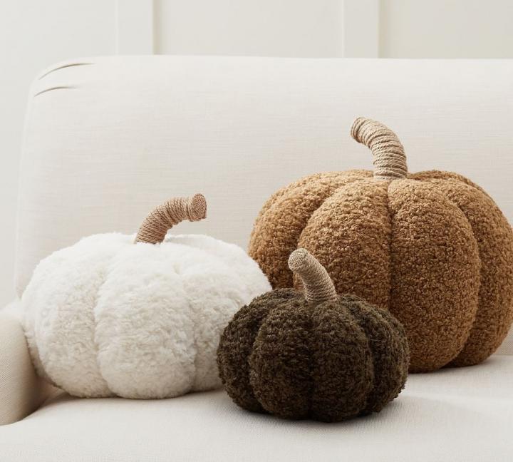 For-Cozy-Welcoming-Home-Pottery-Barn-Cozy-Pumpkin-Pillow.jpg