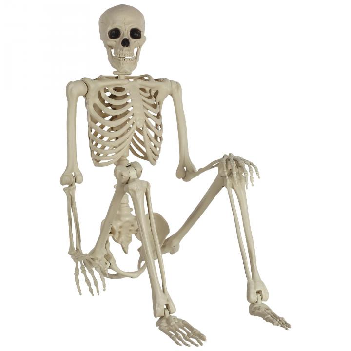 Scary-Skeleton-Life-Size-Poseable-5-Ft-Skeleton.webp