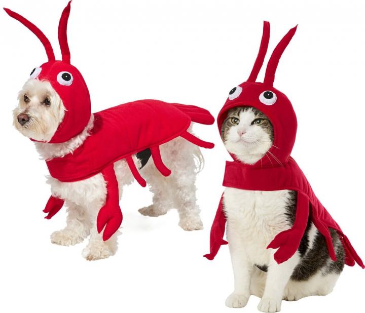 Crustacean-Costume-Frisco-Red-Lobster-Dog-Cat-Costume.jpg