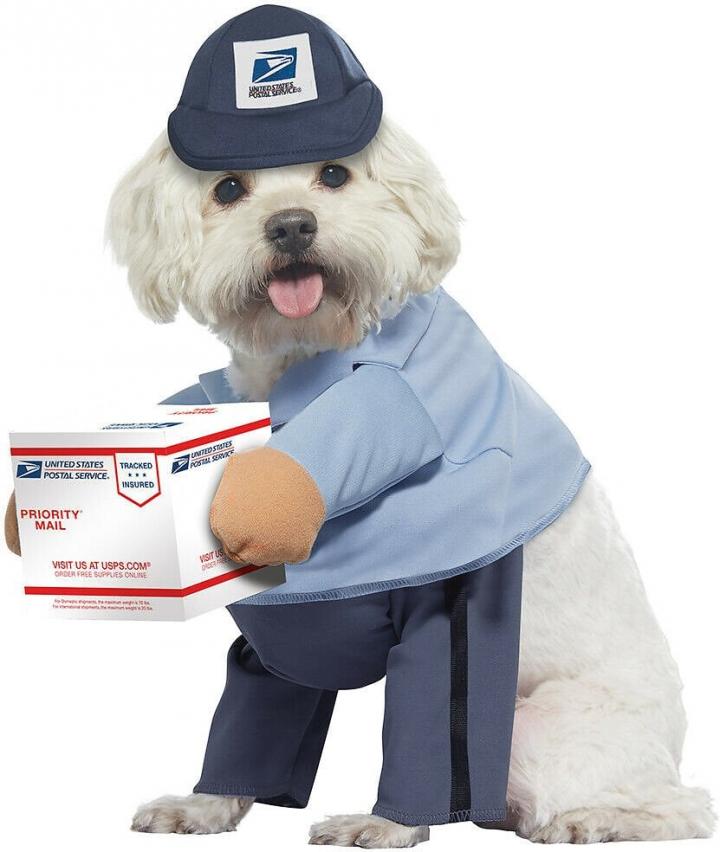Postal-Delivery-Dog-California-Costumes-USPS-Delivery-Driver-Dog-Costume.jpg