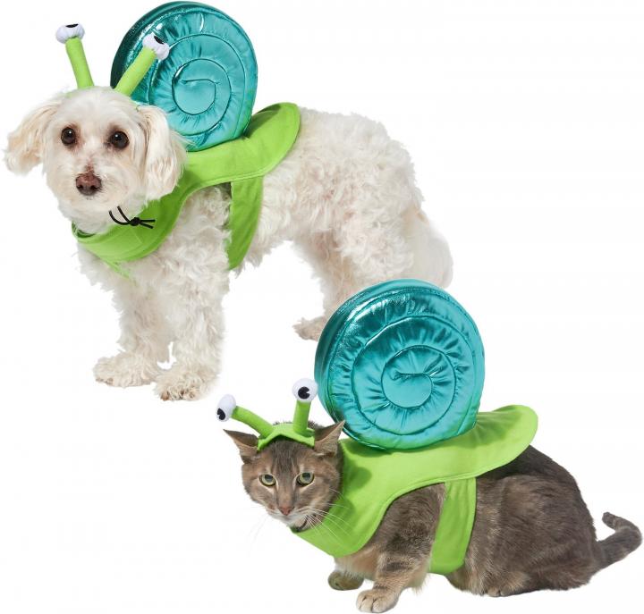 For-Slow-Pet-Frisco-Snail-Dog-Cat-Costume.jpg