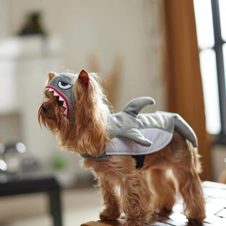 Shark-Costume-Frisco-Shark-Attack-Dog-Cat-Costume.webp