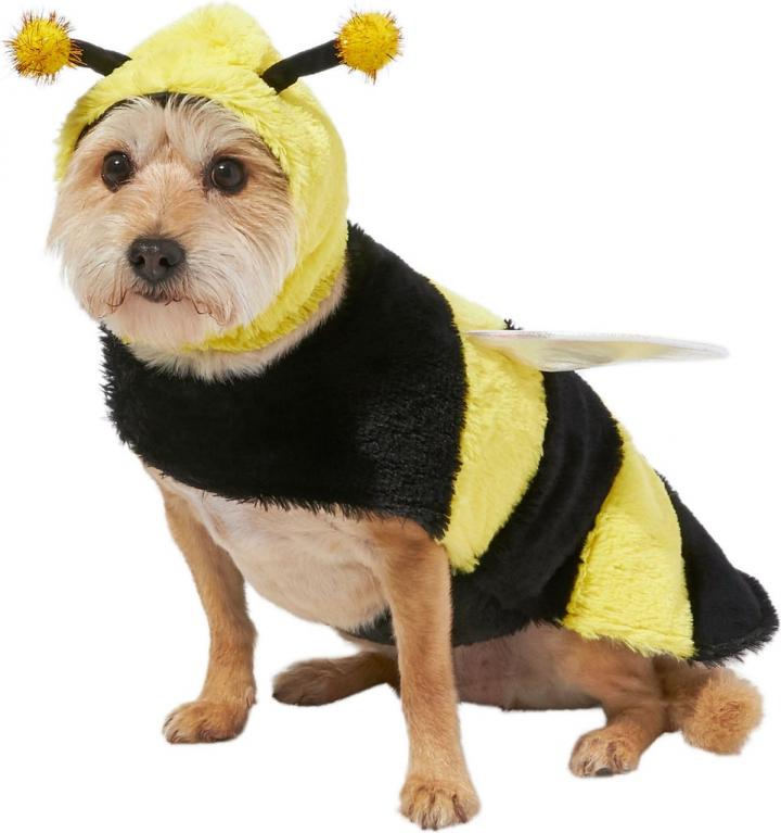 Buzzing-Costume-Frisco-Bumble-Bee-Dog-Cat-Costume.jpg