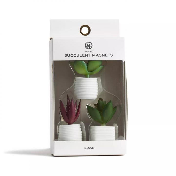 Stocking-Stuffer-Succulent-Plant-Magnets.webp