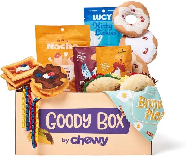 Gift-For-Cat-People-Their-Cats-Chewy-Goody-Box-For-Cats.webp