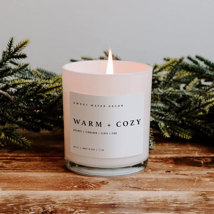 For-Festive-Vibe-Sweet-Water-Decor-Warm-Cozy-Soy-Candle.jpg