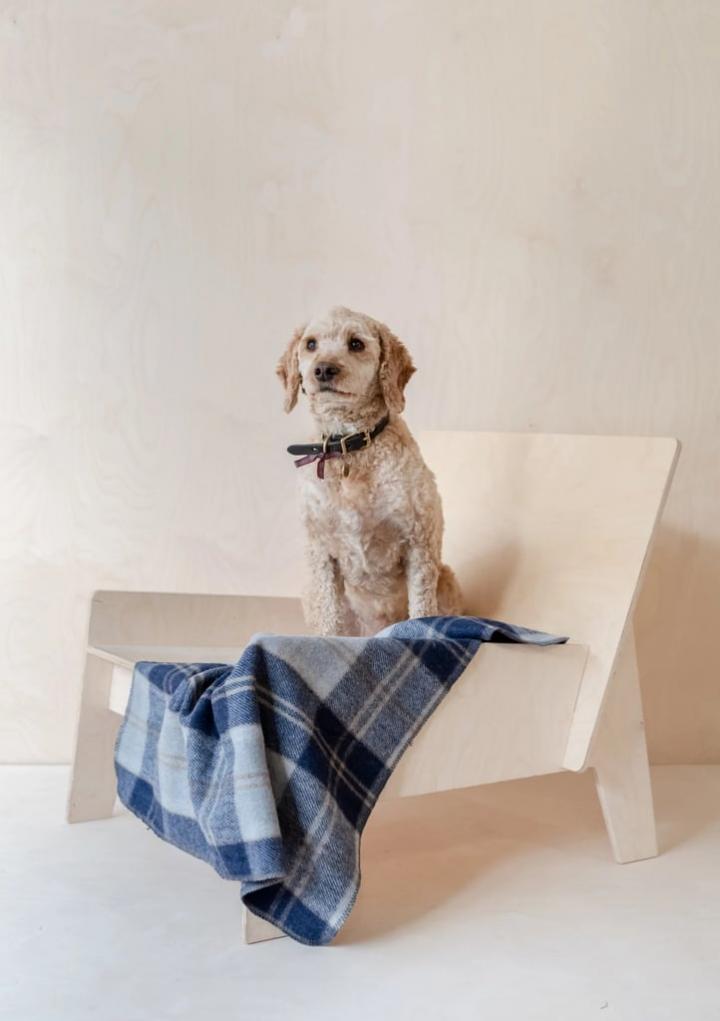 Home-Gifts-Tartan-Blanket-Co-Recycled-Wool-Small-Pet-Blanket.webp