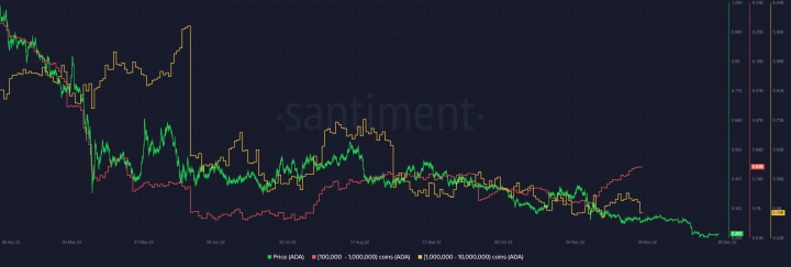 Cardano-ADA-11.23.52-28-Dec-2022.png