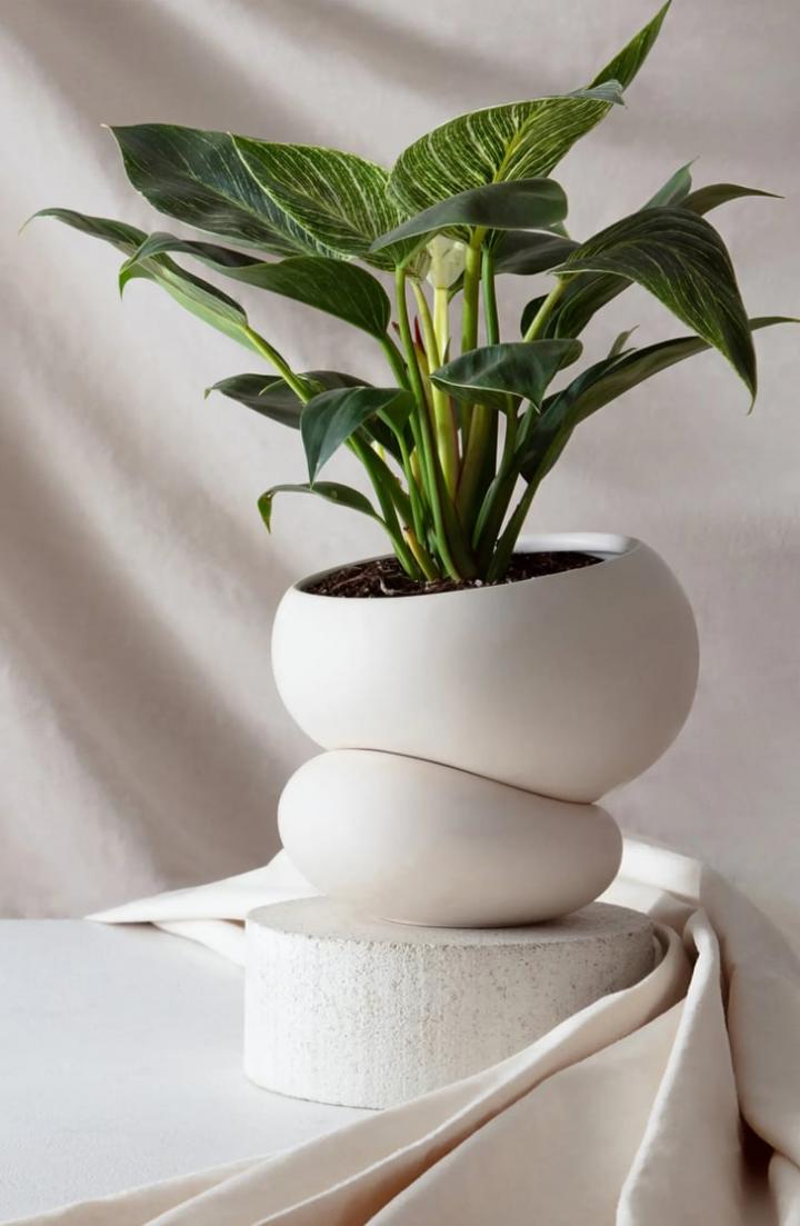 best-indoor-pots-and-planters.webp