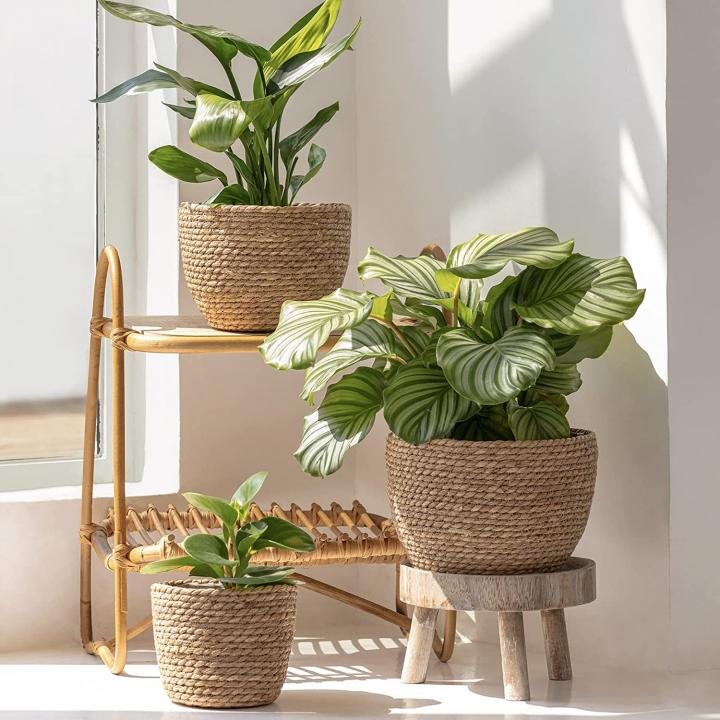 Indoor-Seagrass-Planter-Baskets.jpg