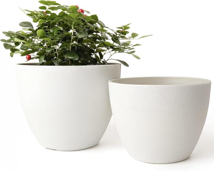 White-Indoor-Plant-Pots-with-Drainage-Holes.jpg
