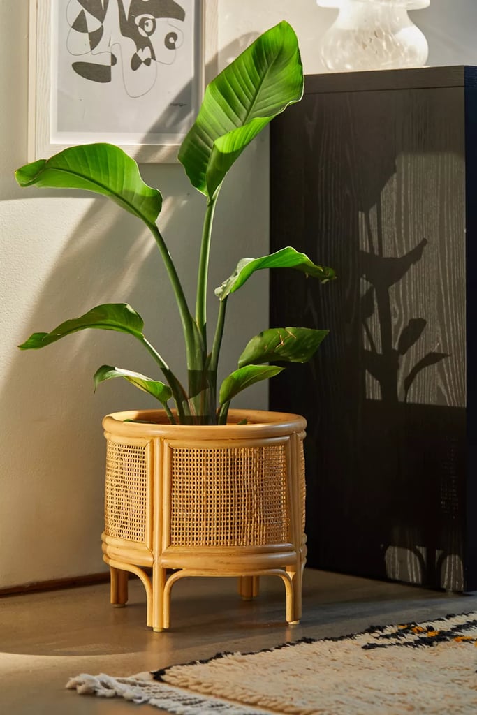 Boho-Indoor-Planter-Pot.webp