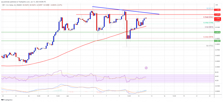 XRP_Price-1.png