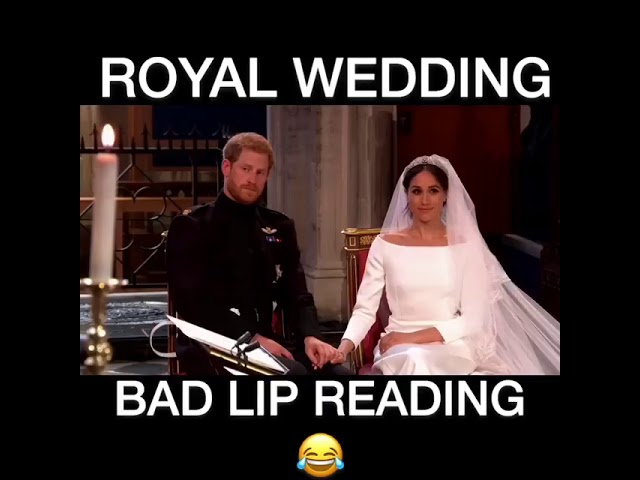 Royal Reptile Wedding Bad Lipreading