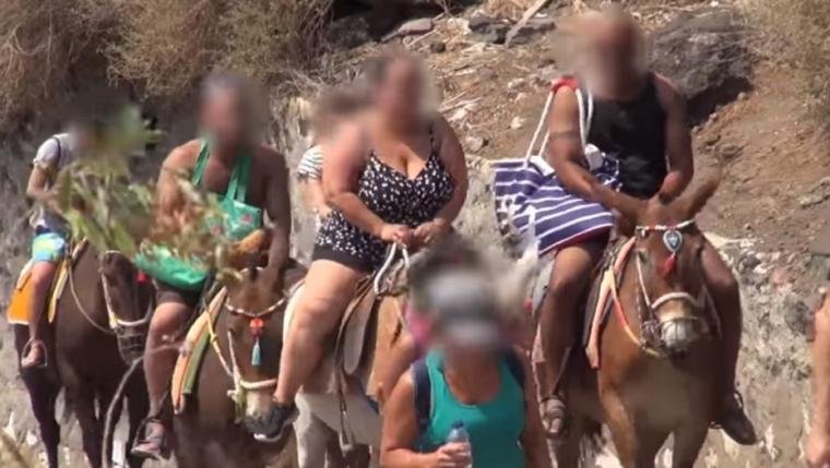 Grecia: prohíben a personas con sobrepeso subirse a los burros