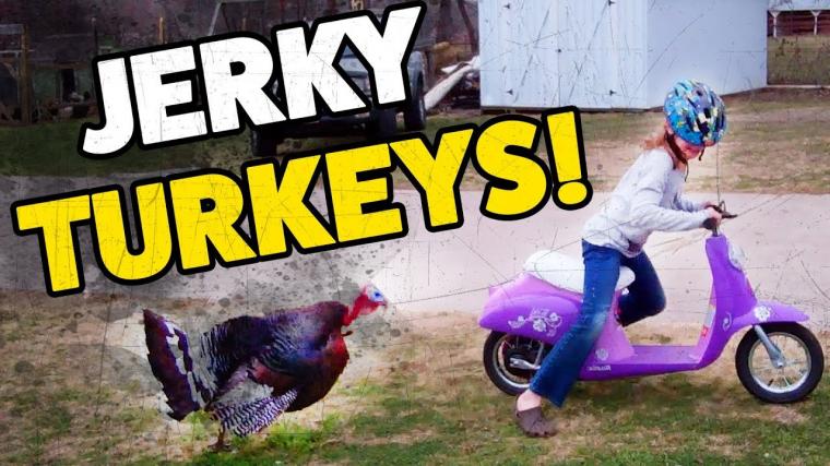 JERKEY TURKEYS | Funny Thanksgiving Turkey Fails | November 2018