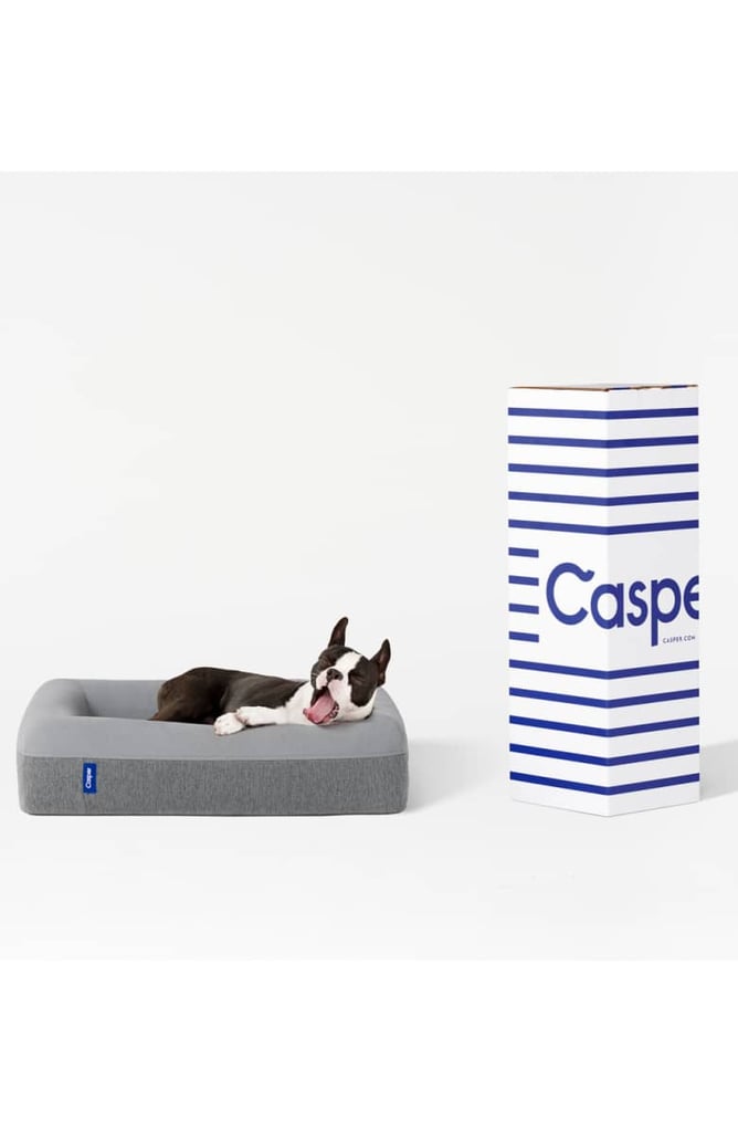 Casper-Dog-Bed.jpg