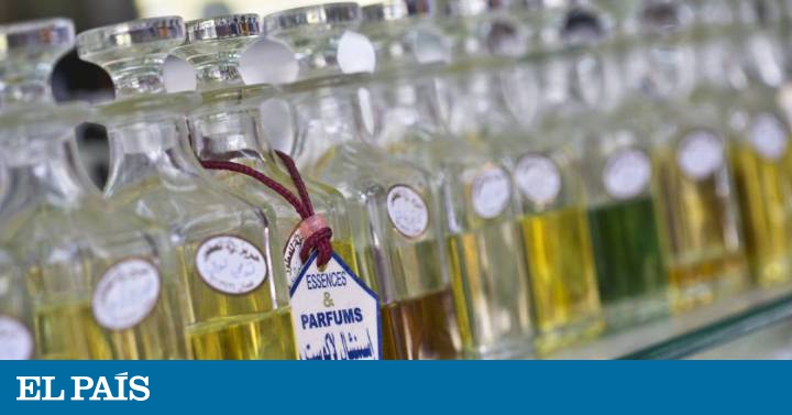 El guardián de las esencias de un perfume de éxito