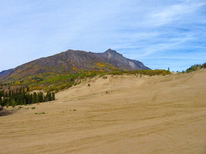 Carcross, el desierto más pequeño del mundo